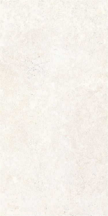 OL Limestone Bianco Matte 24 x 48 — product image 5