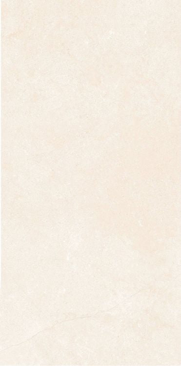 OL Marfil Matte 12 x 24 — product image 2