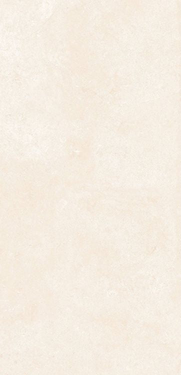 OL Marfil Matte 12 x 24 — product image 6