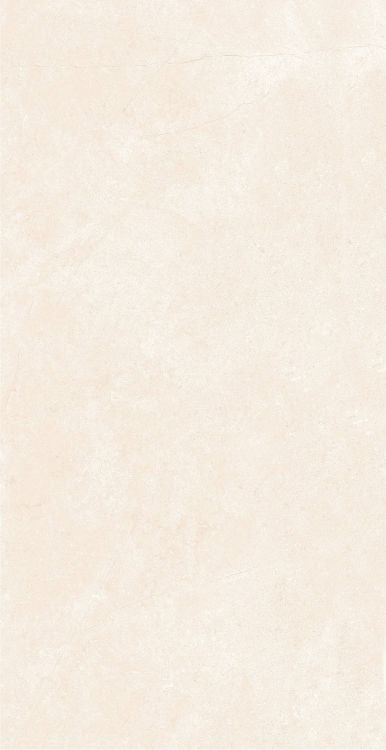 OL Marfil Matte 12 x 24 — product image 8