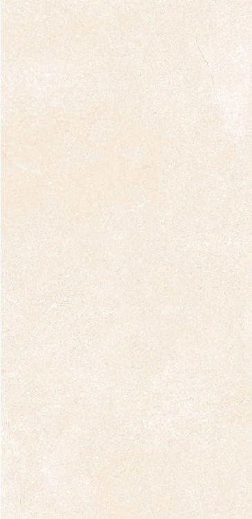 OL Marfil Matte 12 x 24 — product image 10
