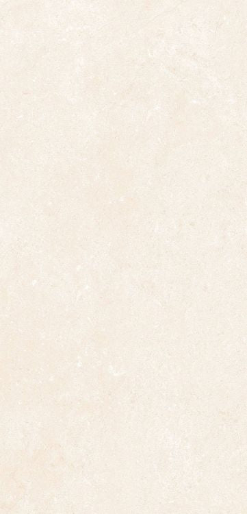 OL Marfil Matte 12 x 24 — product image 3