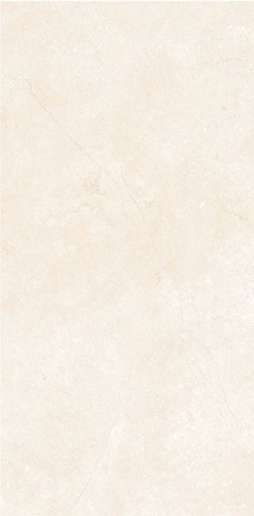 OL Marfil Matte 12 x 24 — product image 5