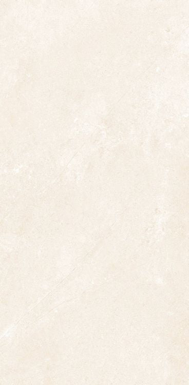 OL Marfil Matte 12 x 24 — product image 7
