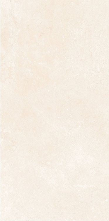 OL Marfil Matte 12 x 24 — product image 9