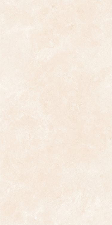 OL Marfil Matte 24 x 48 — product image 7