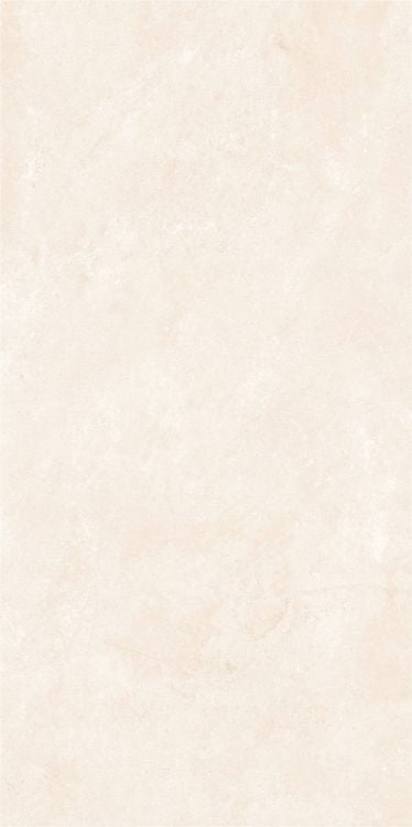 OL Marfil Matte 24 x 48 — product image 5