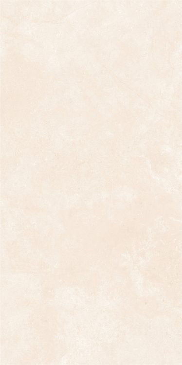 OL Marfil Matte 24 x 48 — product image 2
