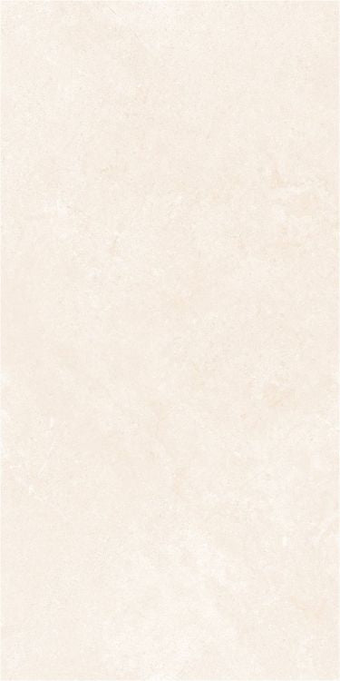 OL Marfil Polished 12 x 24 — product image 5