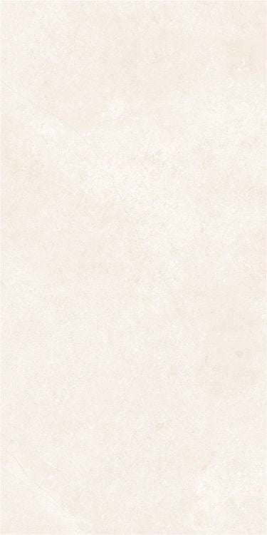 OL Marfil Polished 12 x 24 — product image 4