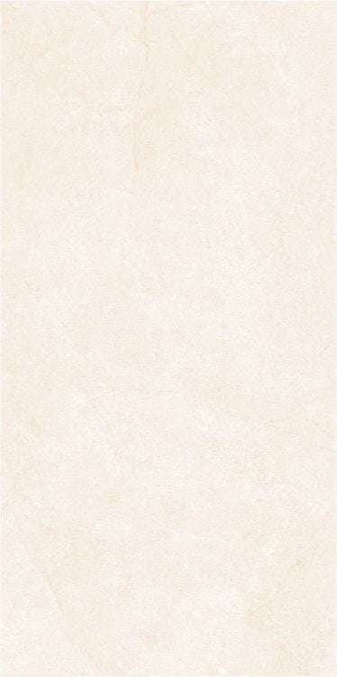 OL Marfil Polished 12 x 24 — product image 3