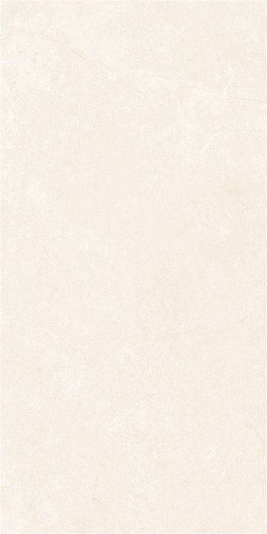 OL Marfil Polished 12 x 24 — product image 2