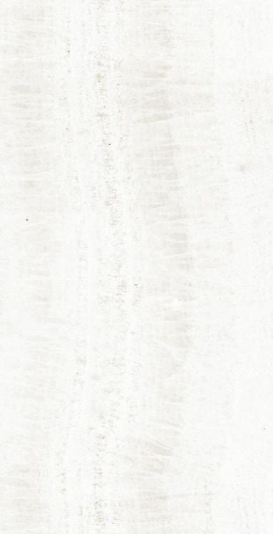 OL Onyx White Polished 12 x 24