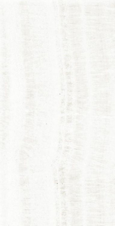 OL Onyx White Matte 12 x 24