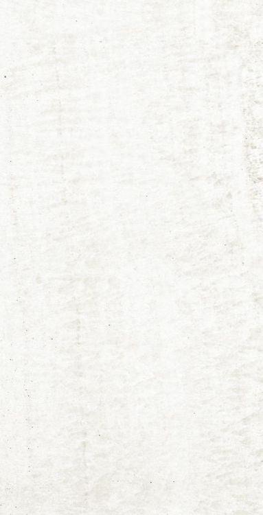 OL Onyx White Matte 12 x 24