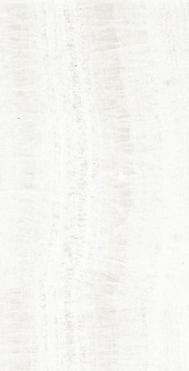 OL Onyx White Polished 12 x 24