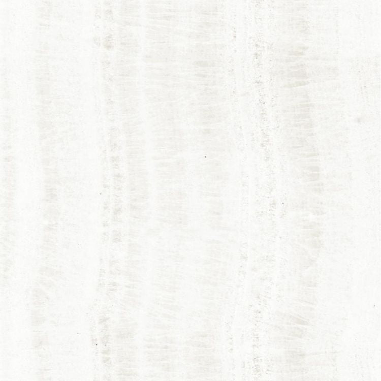 OL Onyx White Polished 24 x 24
