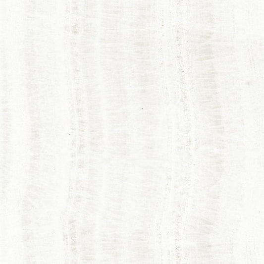 OL Onyx White Polished 24 x 24