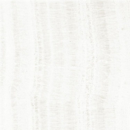 OL Onyx White Matte 24 x 24
