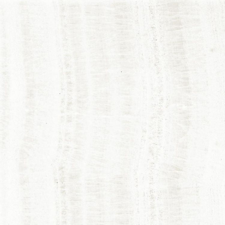 OL Onyx White Polished 24 x 24