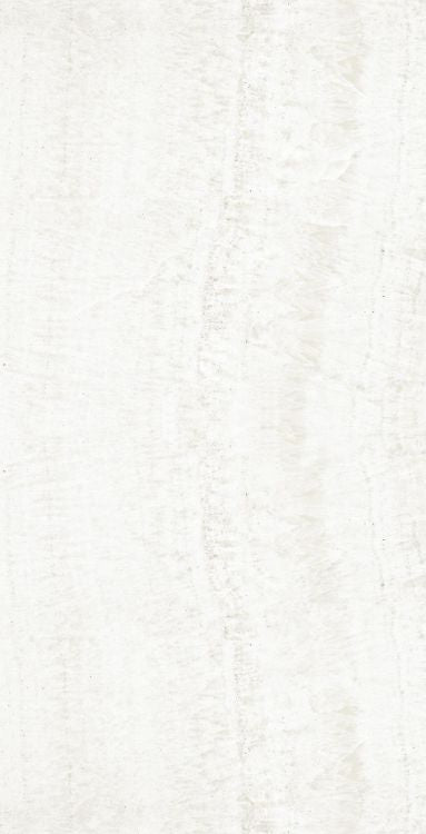 OL Onyx White Polished 24 x 48