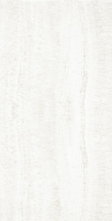 OL Onyx White Matte 24 x 48 — product image 3