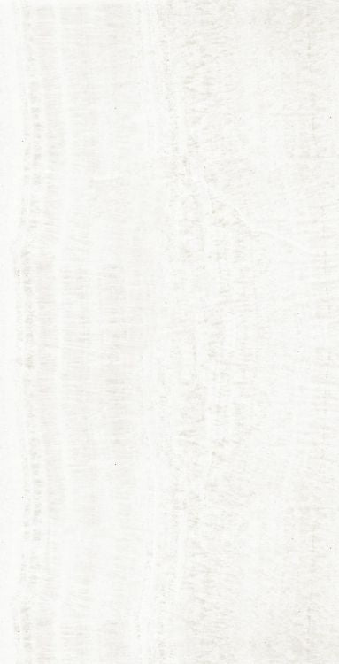 OL Onyx White Matte 24 x 48 — product image 2