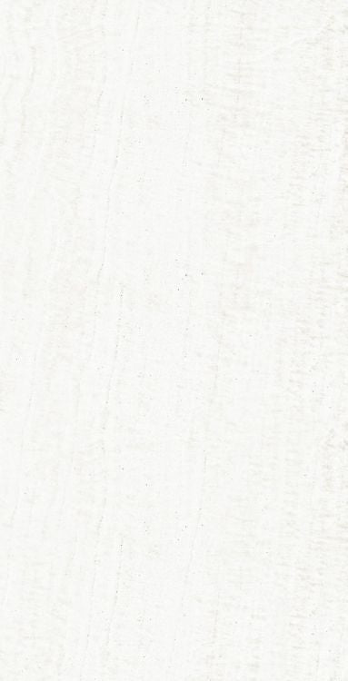 OL Onyx White Matte 24 x 48 — product image 1
