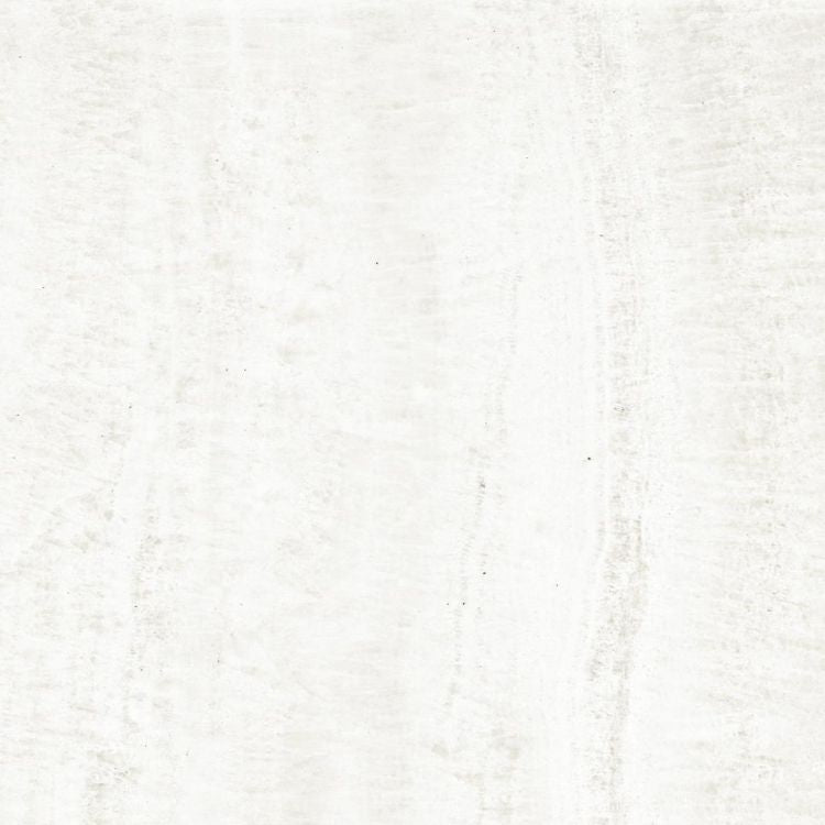 OL Onyx White Polished 24 x 24