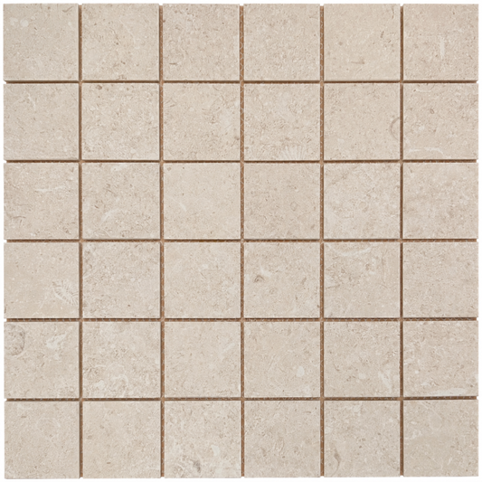 Sea Luster Avorio Matte 2x2 Square, 12x12, REFIN
