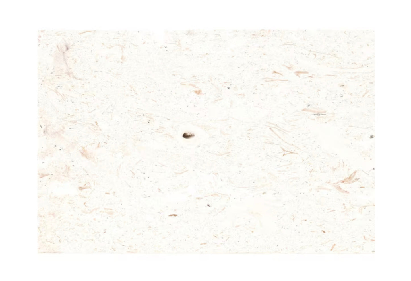 Mayra White 16" x 24" x 3cm Tumbled Limestone Paver