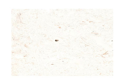 Mayra White 16" x 24" x 3cm Tumbled Limestone Paver — product image 2
