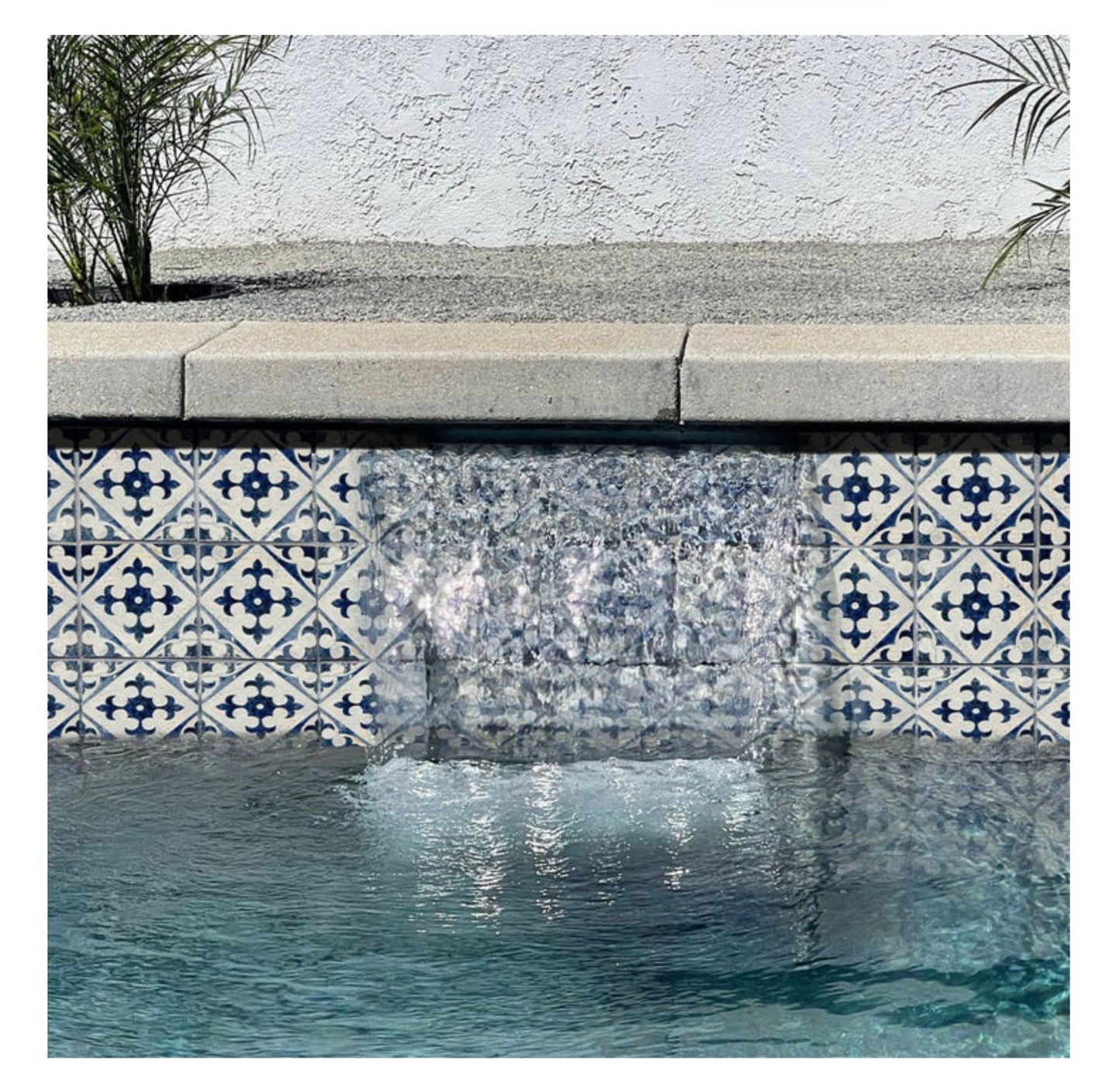 6x6 Fujiwa Flora Vera Porcelain Tile, Flora Series