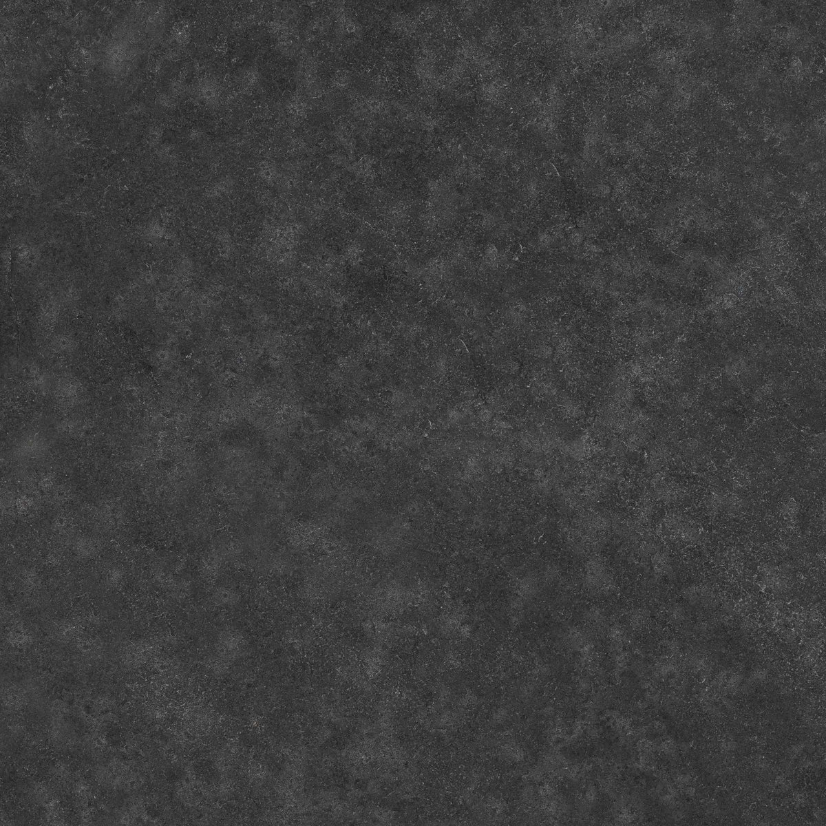 Lime Black Limestone Natural Flagstone