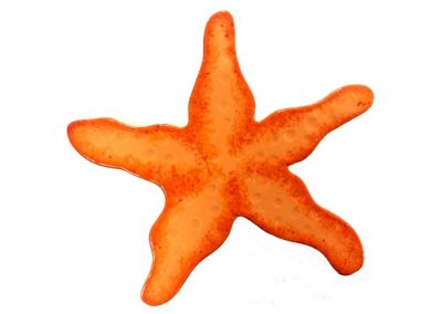Fujiwa Starfish Orange watermark pool mosaic