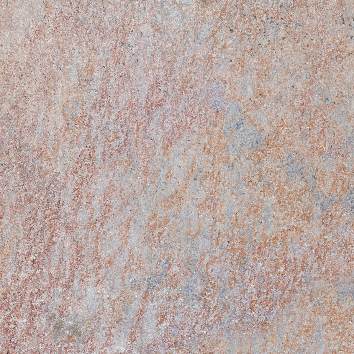 Sunwood Quartzite Flagstone closeup