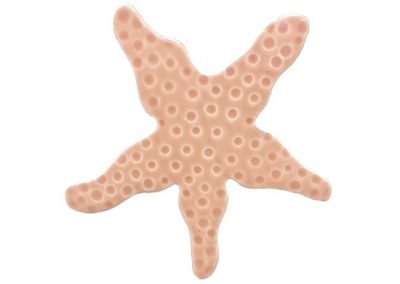 Fujiwa Starfish Peach 7"x7" watermark pool mosaic