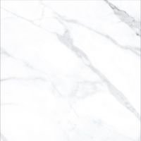 AGL Statuario Polished 24 x 24 - Hexagon Interiors