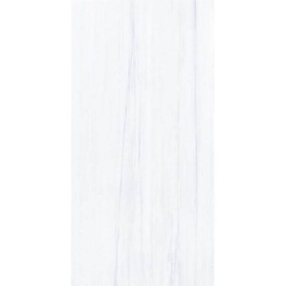 AN Dolomite Supreme Matte 24 x 48 - Hey Tiles
