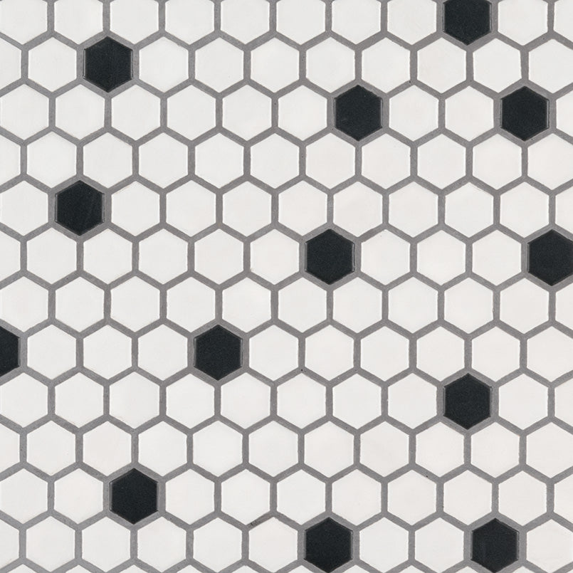 MSI Black and White 1 inch Hexagon mosaic detail