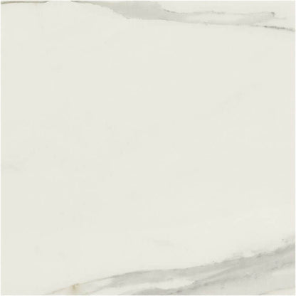 Classici Calacatta Gold Glossy 48 x 48, REX - Hey Tiles