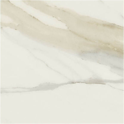 Classici Calacatta Gold Glossy 48 x 48, REX - Hey Tiles