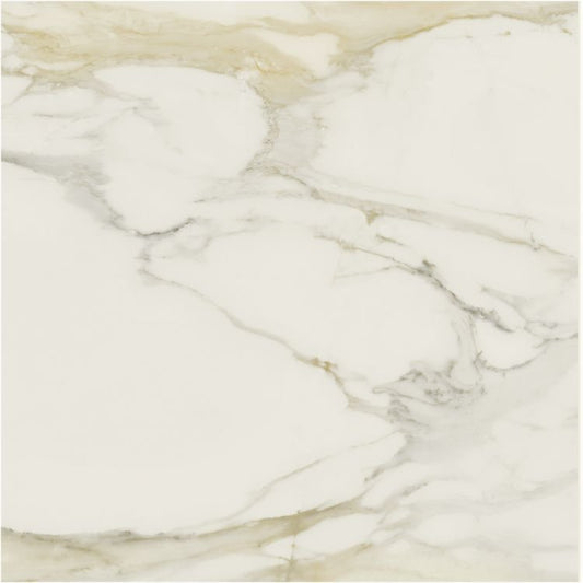 Classici Calacatta Gold Glossy 48 x 48, REX - Hey Tiles