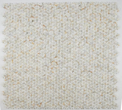 Daisy Wild Calacatta Gold marble mosaic, 12.75 x 13.25, featuring floral patterns in white and gold accents.