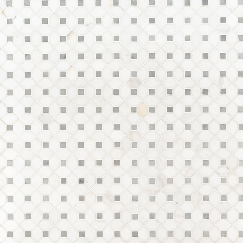 MSI Bianco Dolomite Dotty polished variation