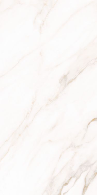 Classy Warm White Matte 24" x 48" Porcelain Tile