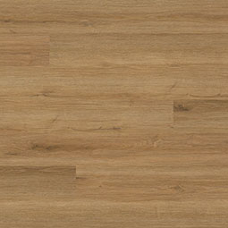 MSI Cyrus 2.0 Amber Forrester manufacturer flooring photo