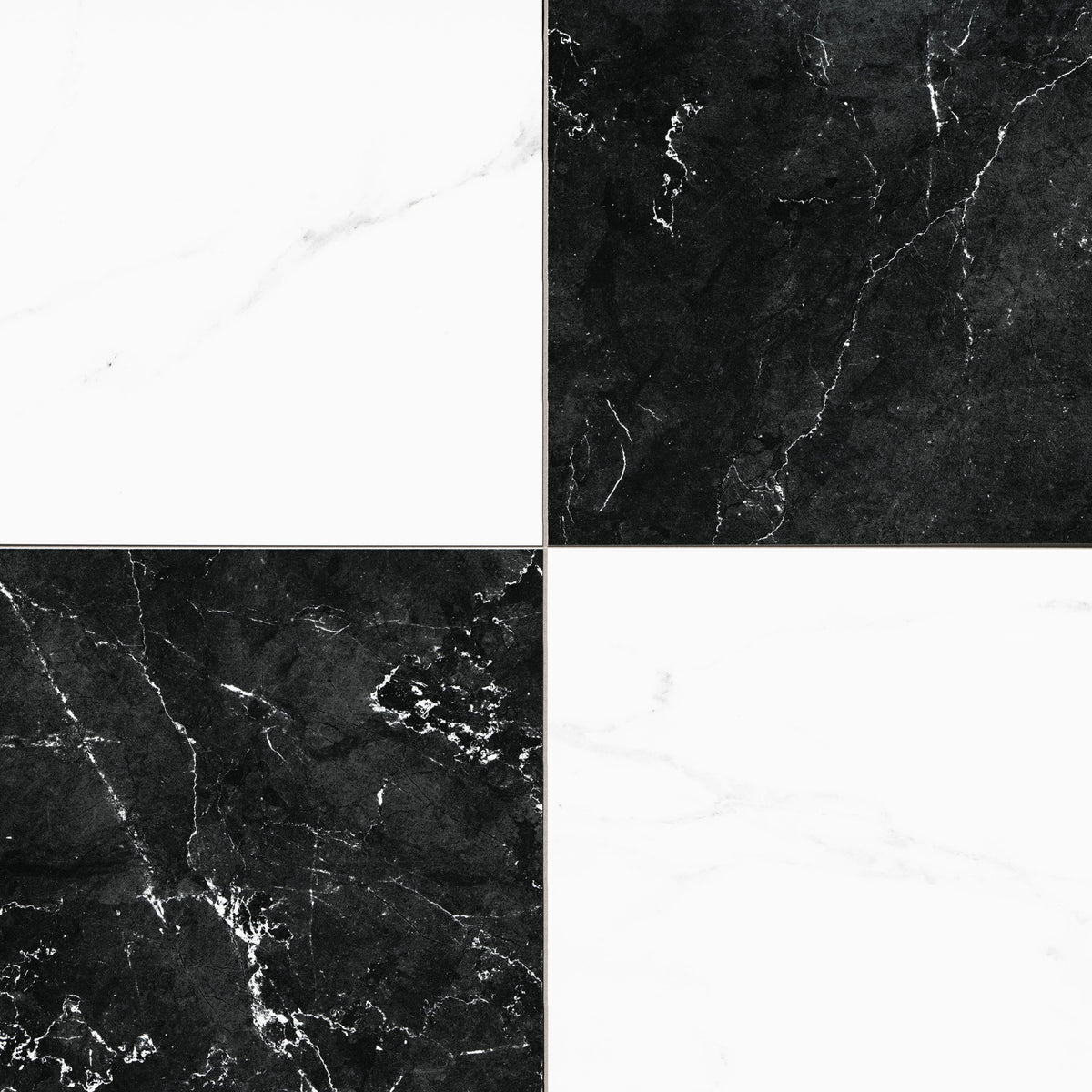 MSI Noir Blanc Grid 17" x 17" Matte Porcelain Tile image 1