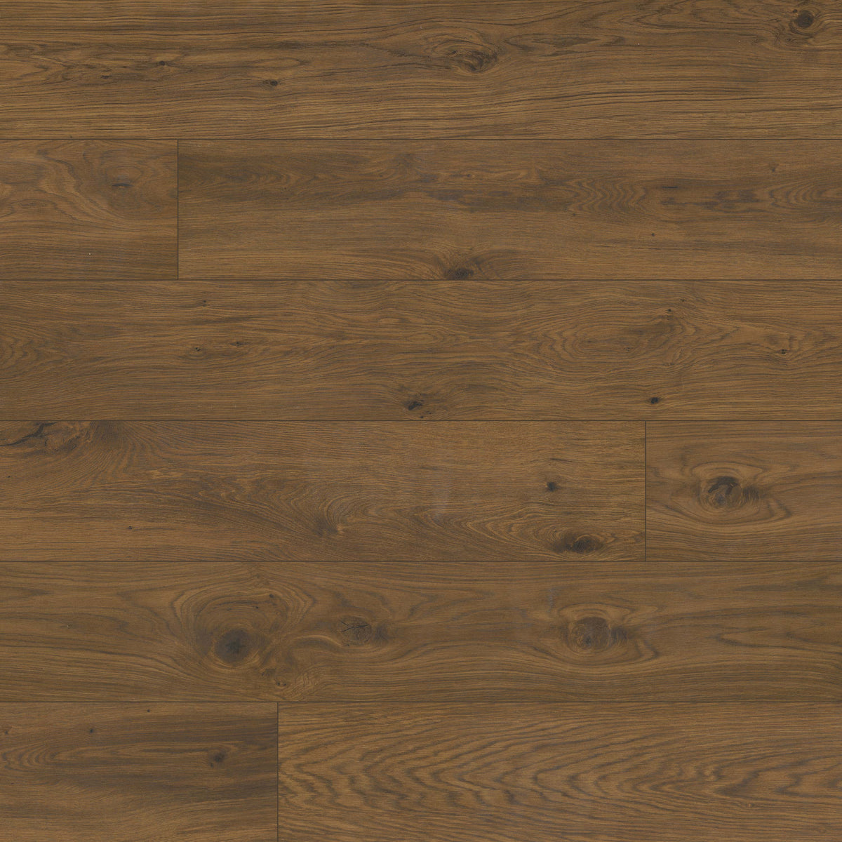 MSI Valgrande Clayborne 10" x 62" Matte 3D Porcelain Tile image 1