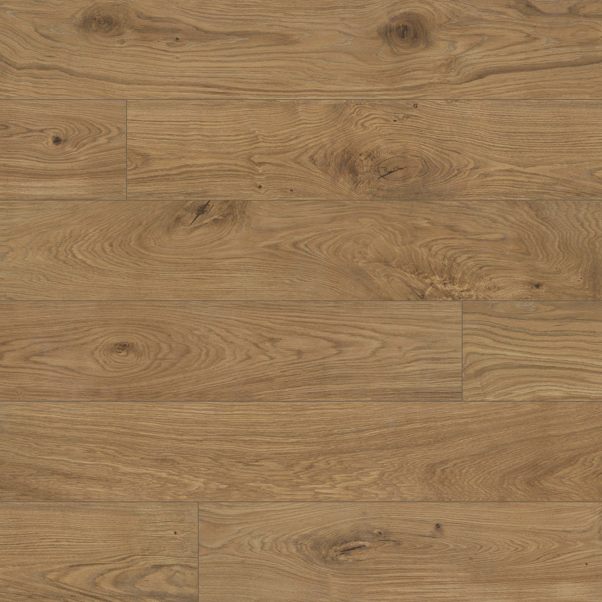 MSI Valgrande Sequoia 10" x 62" Matte 3D Porcelain Tile image 1